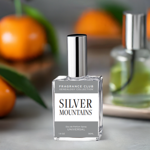 Silver Mountains